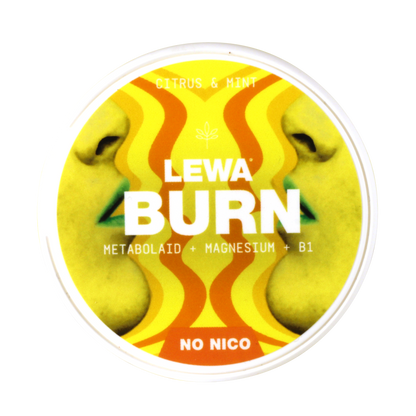 LEWA BURN CITRUS MINT ENERGY POUCHES